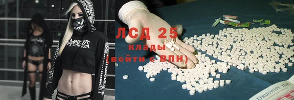 гидра Гусиноозёрск