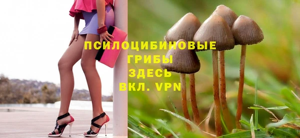 apvp Горно-Алтайск
