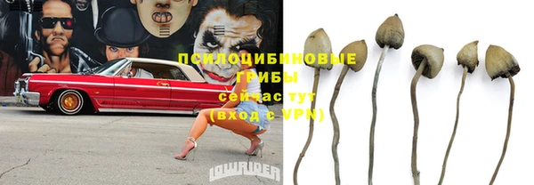 apvp Горно-Алтайск