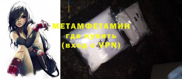 индика Гусь-Хрустальный