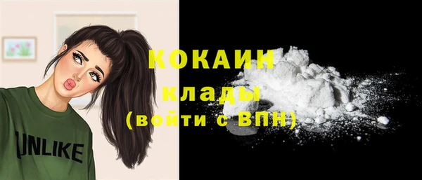 сатива Гусев
