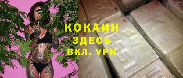 apvp Горно-Алтайск