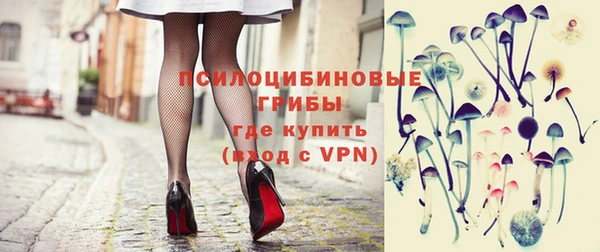 apvp Горно-Алтайск