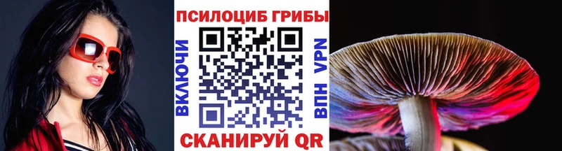 mega маркетплейс  Дальнереченск  Псилоцибиновые грибы MAGIC MUSHROOMS 